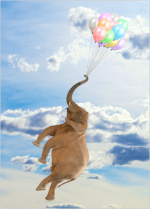 elephant baloon