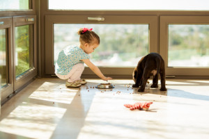 Pets and Your Child's Food Allergens