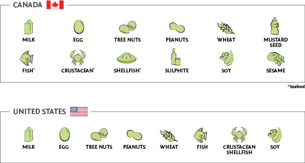 Most common food allergens
